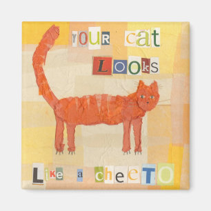 Cheeto Cat Magnet