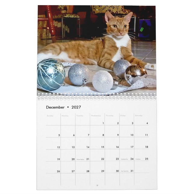 Cheeto Dacutecat 2020 Kalender (Dez 2027)