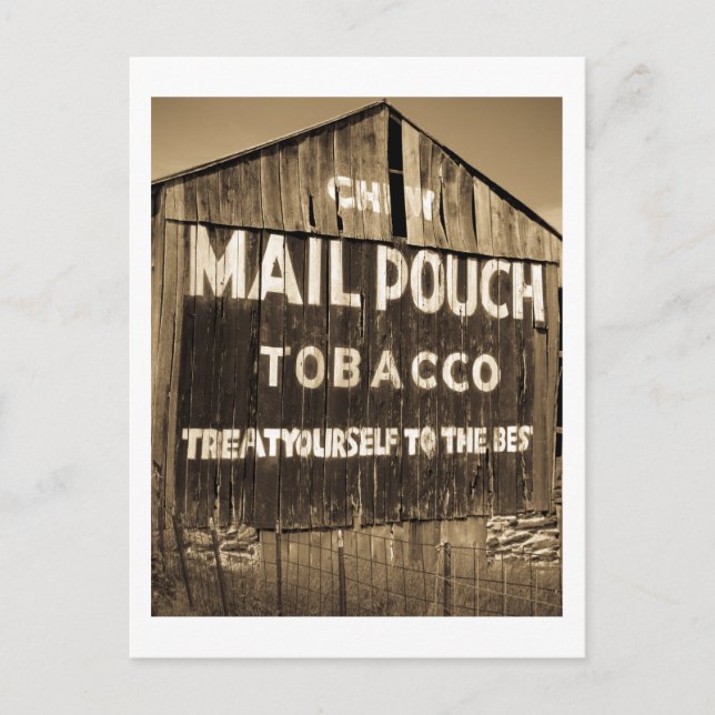 Chef Mail Pouch Tobacco Barn Postkarte (Vorderseite)