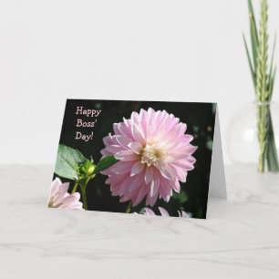 Chefs Karten Pinke Dahlien Blumen Frohen Boss Tag!
