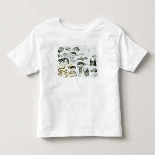 Cheiroptera, Insectivora Kleinkind T-shirt