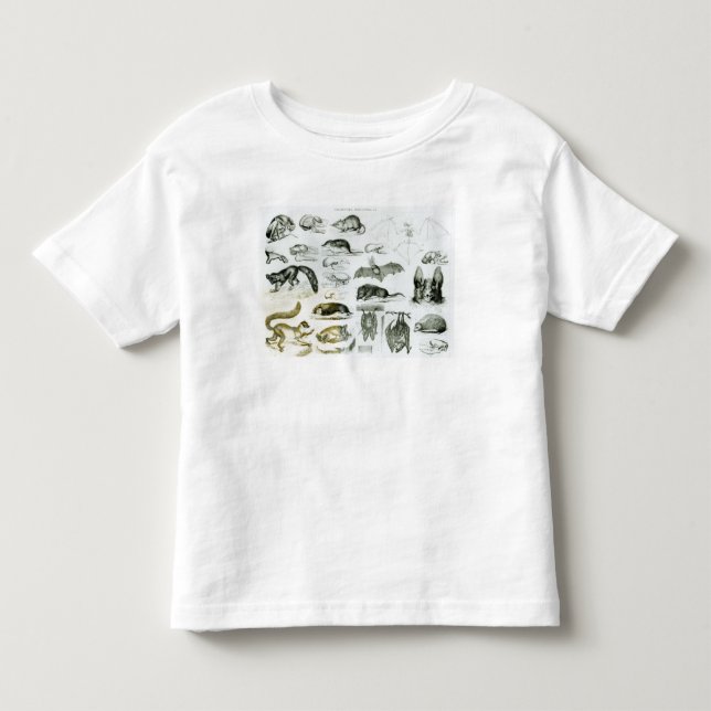 Cheiroptera, Insectivora Kleinkind T-shirt (Vorderseite)