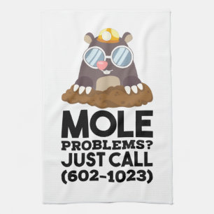 Chemie - Probleme mit dem Löwenanteil Geschirrtuch