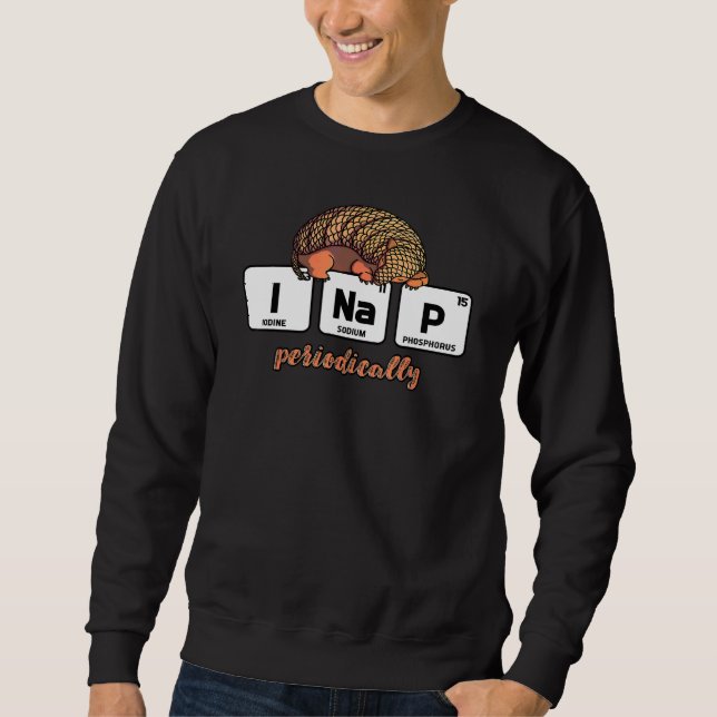 Chemieelemente Wissenschaft I Nickerchen Regelmäßi Sweatshirt (Vorderseite)