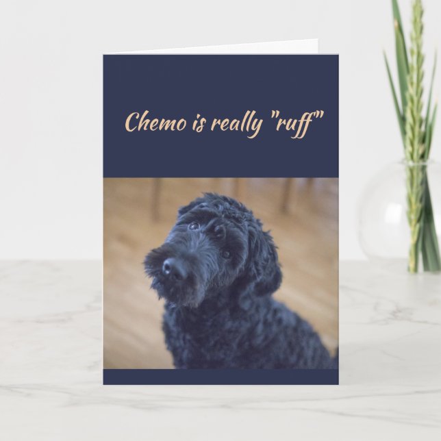 Chemo ist Ruff Niedlich Black Curly Dog Pet Karte (Vorderseite)