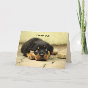 CHEMO-UGG PUPPY BEKOMMEN GUTE KARTE
