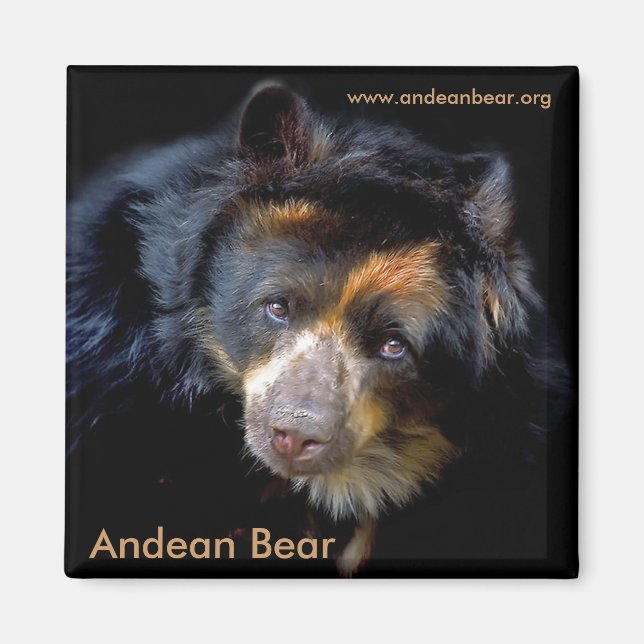 Cheri McEachin Magnet (Vorne)