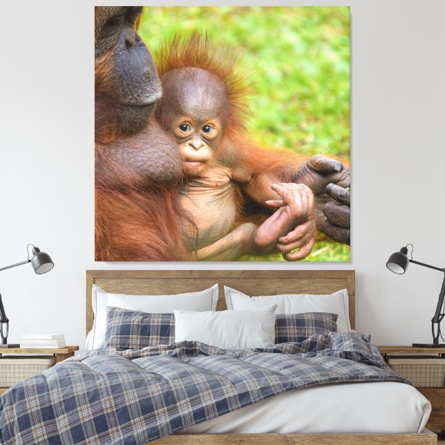 Cherished Orangutan Mother's Cuddle Leinwanddruck (Insitu (Schlafzimmer))