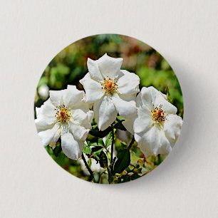 Cherokee Rose 2 Georgia Button