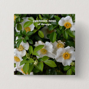 Cherokee Rose Button