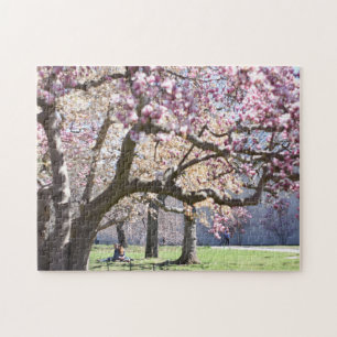 Cheroms Central Park New York City NYC Puzzle