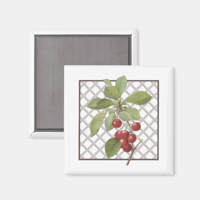 CHERRIES MAGNET (Vorderseite/Rückseite)