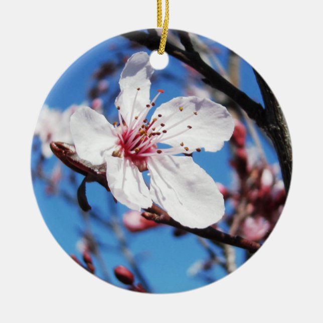 Cherry Blossom 2 Keramik Ornament (Vorne)