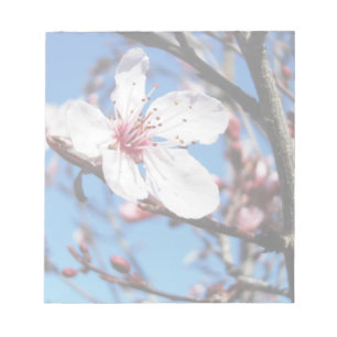 Cherry Blossom 2 Notizblock