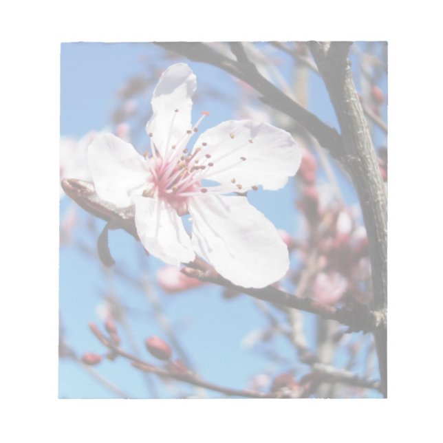 Cherry Blossom 2 Notizblock (Vorderseite)