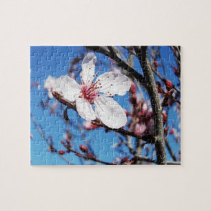 Cherry Blossom 2 Puzzle