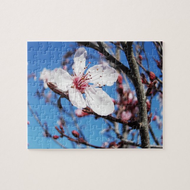 Cherry Blossom 2 Puzzle (Horizontal)