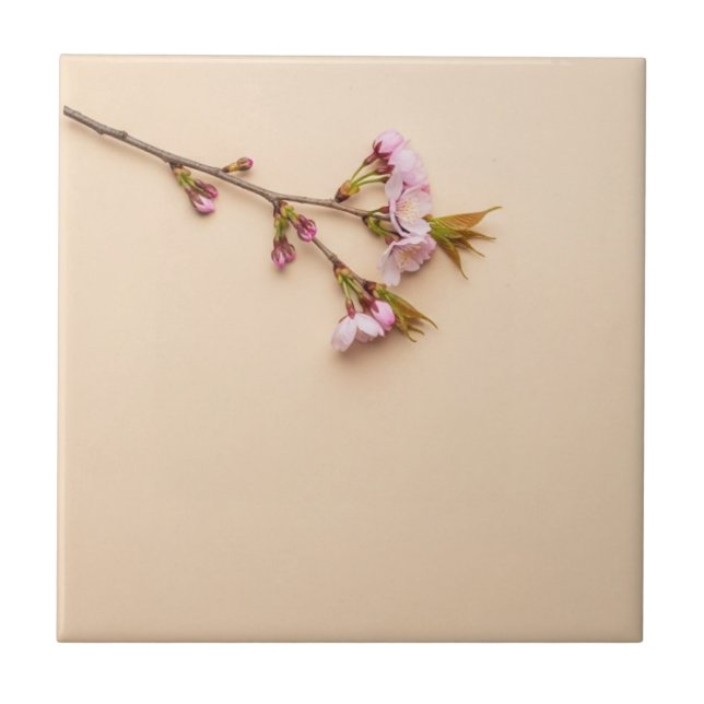 Cherry Blossom and Daisy Background Fliese (Vorderseite)