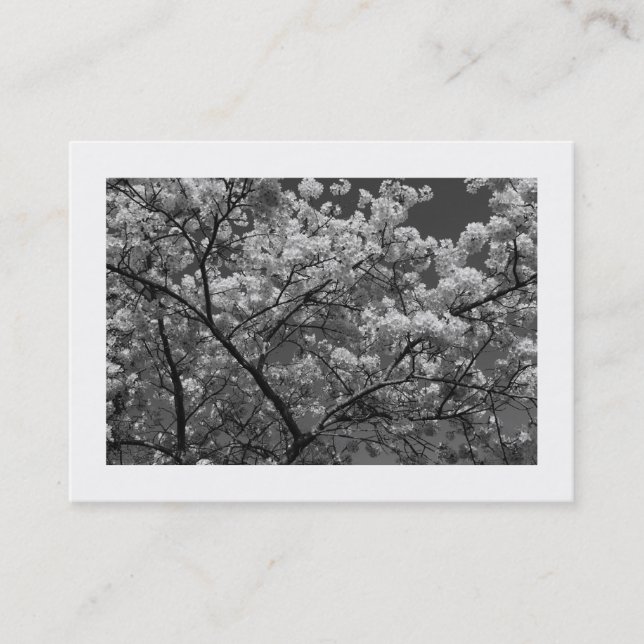 Cherry Blossom B&W (grenzt) Visitenkarte (Vorderseite)