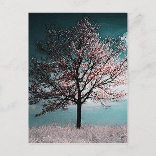 Cherry Blossom Baummalerei - Abenddämmerung Postkarte