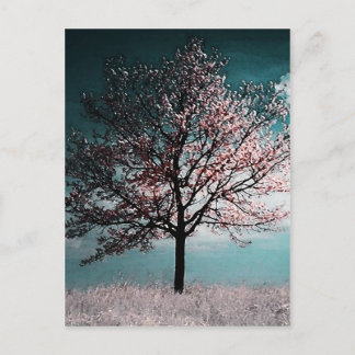 Cherry Blossom Baummalerei - Abenddämmerung Postkarte