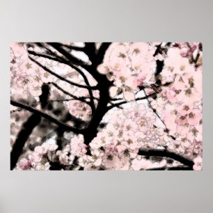Cherry Blossom bearbeitet Poster