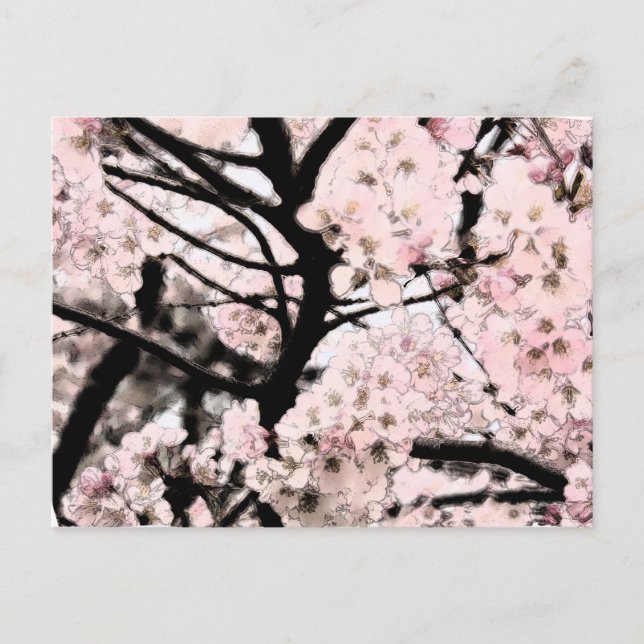 Cherry Blossom bearbeitet Postkarte (Vorderseite)