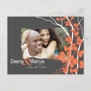 Cherry Blossom Bella Save the Date Foto Ankündigungspostkarte