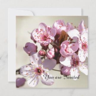 Cherry Blossom Blume Geburtstag Einladung