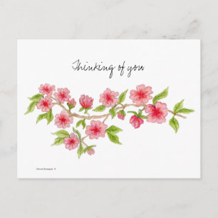 Cherry Blossom Branch Postcard Postkarte