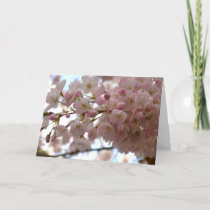 Cherry Blossom Card Weiße Blossom-Karte Persönlich Feiertagskarte