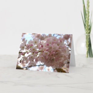 Cherry Blossom Card Weiße Blossom-Karte Persönlich Feiertagskarte