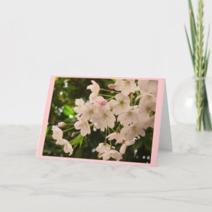 Cherry Blossom Card Weiße Blossom-Karte Persönlich Feiertagskarte
