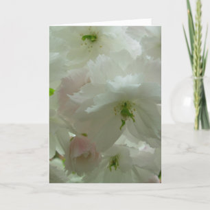 Cherry Blossom Card Weiße Blossom-Karte Persönlich Feiertagskarte