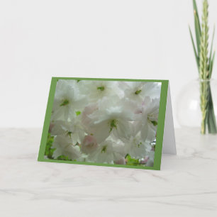 Cherry Blossom Card Weiße Blossom-Karte Persönlich Feiertagskarte