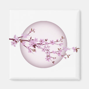 Cherry Blossom Cherry Tree Japanisch Japan Sakura Magnet