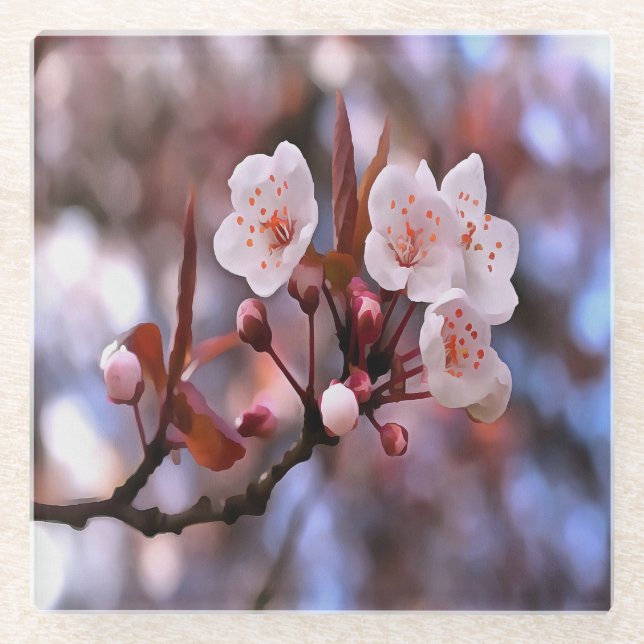 Cherry Blossom Cluster mit rosa und blau Glasuntersetzer (Vorderseite)