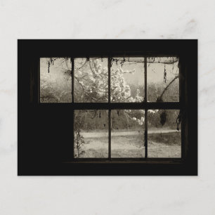 Cherry Blossom durch eine alte Barn-Fenster-Postka Postkarte