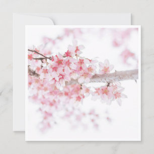 CHERRY BLOSSOM FLORAL FLAT CARD