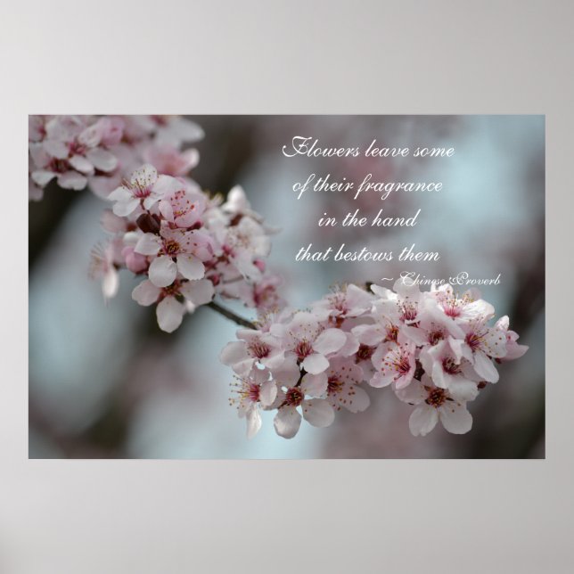 Cherry Blossom Floral Poster (Vorne)