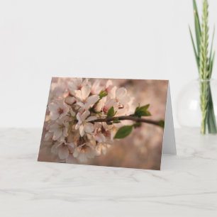 Cherry Blossom Grußkarte Karte