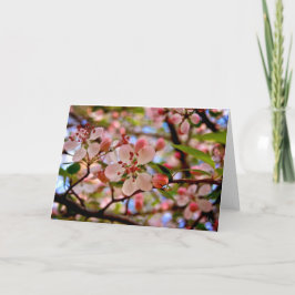 Cherry Blossom [Grußkarte] Karte