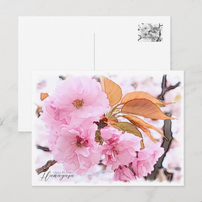 Cherry Blossom "Hanagasa" Postkarte (Vorne/Hinten)