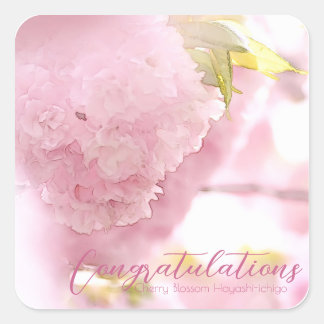 Cherry Blossom "Hayashi-ichigo" スクエアシール Quadratischer Aufkleber
