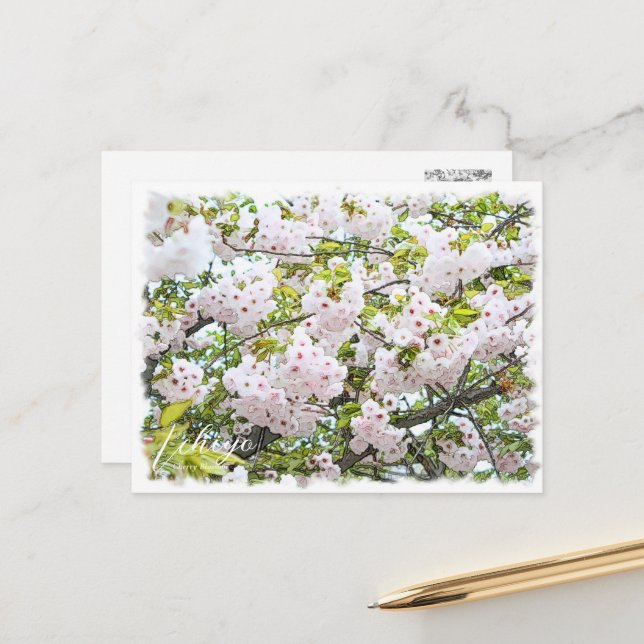 Cherry Blossom "Ichiyo" Postkarte (Vorderseite/Rückseite Beispiel)