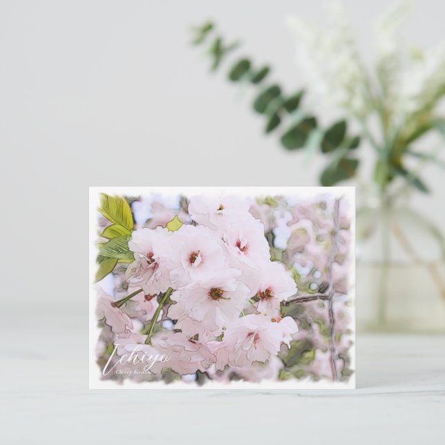 Cherry Blossom "Ichiyo" Postkarte (Stehend Vorderseite)