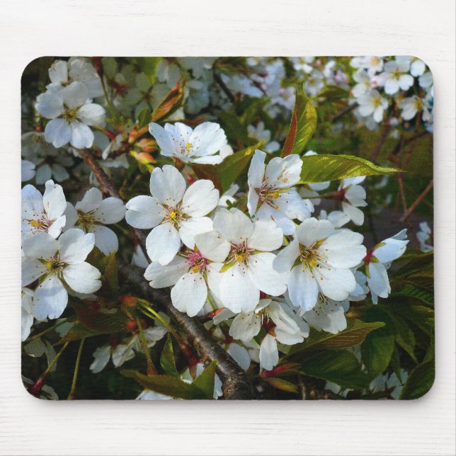 Cherry Blossom II Mousepad (Vorne)