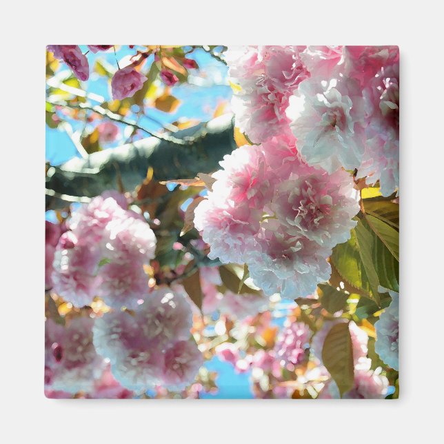 Cherry Blossom Impression Magnet (Vorne)