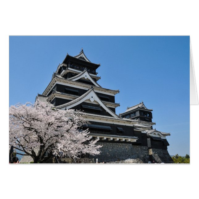 Cherry Blossom in Japan (Vorderseite (Horizontal))