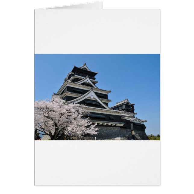 Cherry Blossom in Japan (Vorne)